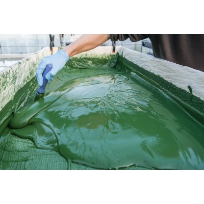 Spiruline de la Pointe d’Argent Comprimés